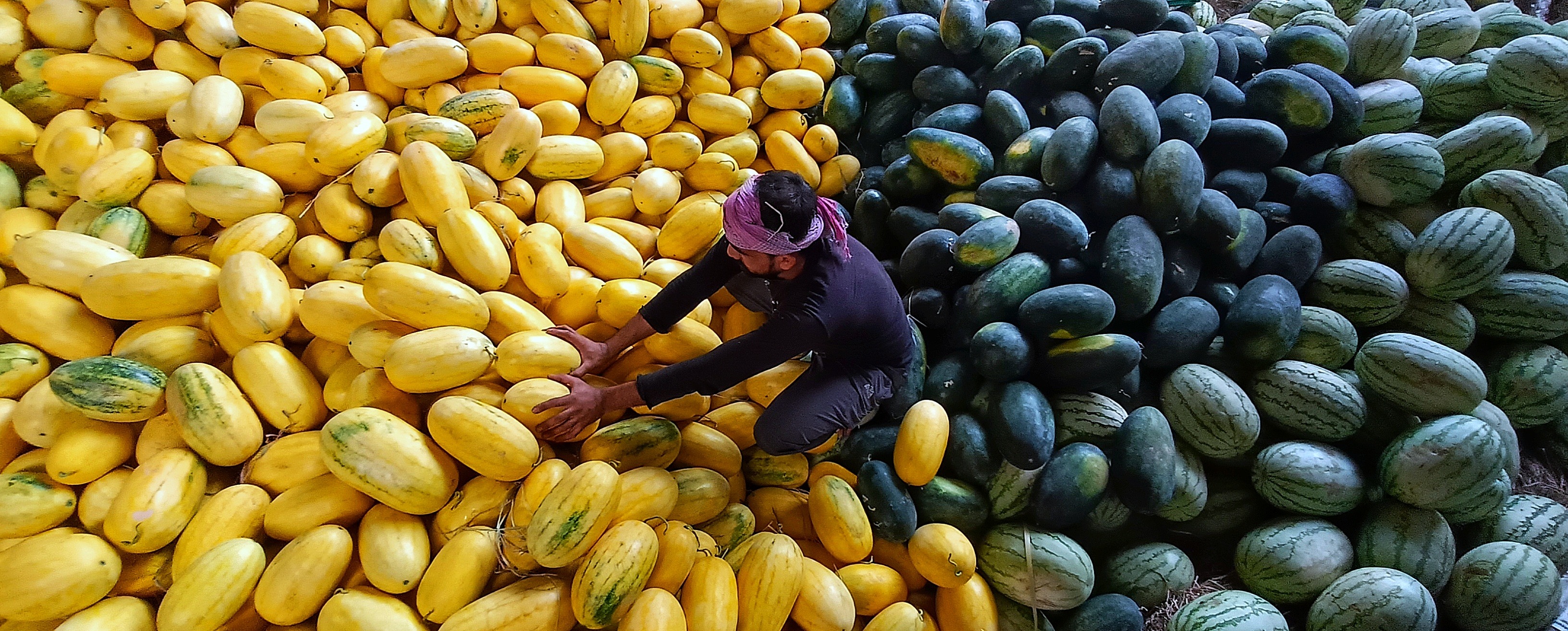 വേനല് കനത്ത് ചൂടേറി; നാട്ടിലും നഗരത്തിലും പഴ വിപണി സജീവം