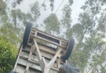 തേയിലക്കൊളുന്തു കയറ്റി വന്ന ട്രാക്ടര് നിയന്ത്രണം വിട്ടു മറിഞ്ഞു: ഡ്രൈവറടക്കം രണ്ടുപേര്ക്ക് പരുക്കേറ്റു